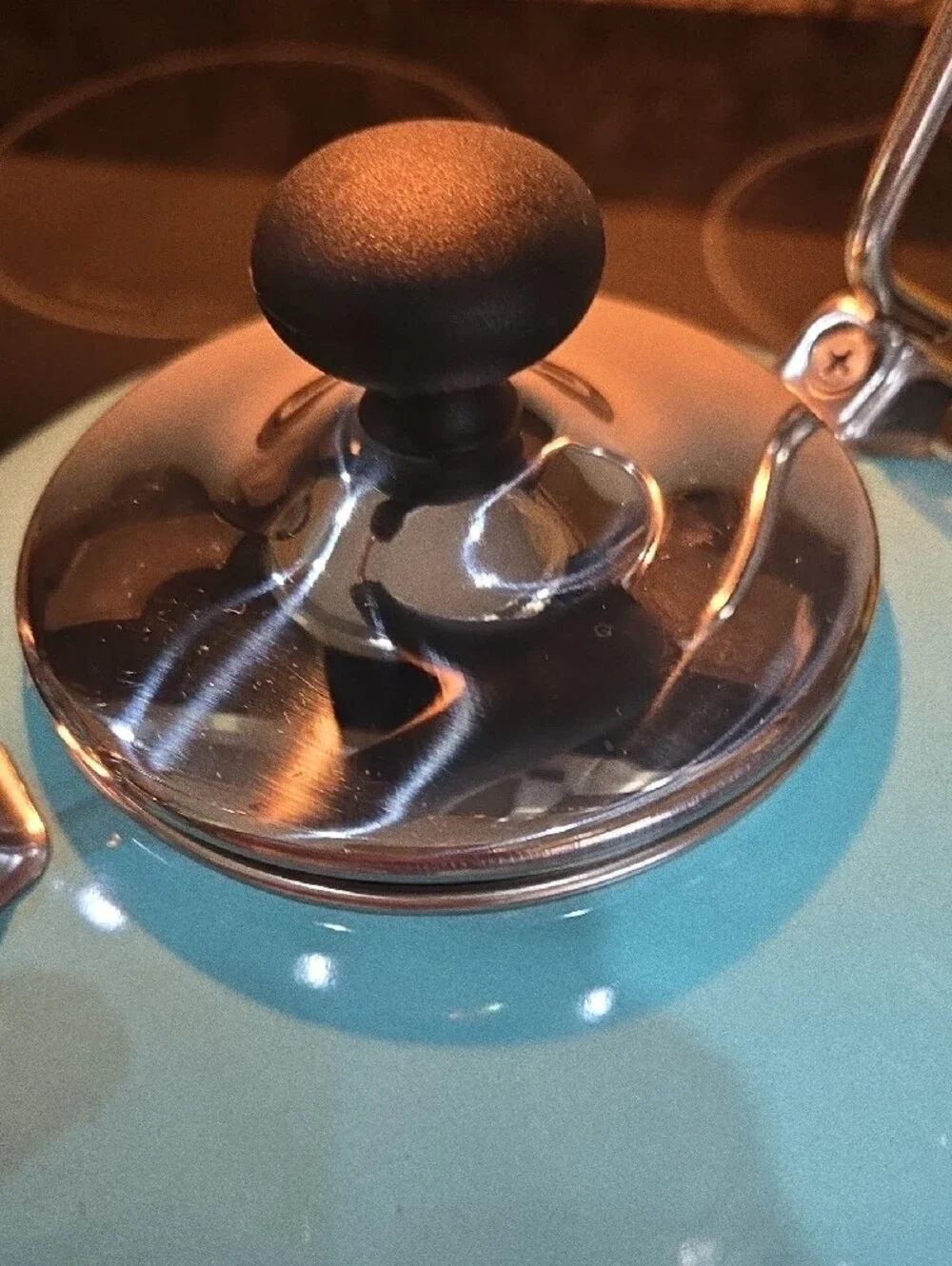 Turquoise Blue Whistling Tea Kettle with Ergonomic Handle
